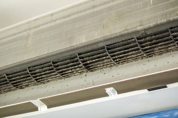 Best Ductwork Cleaning Services  in Brandywine, MD